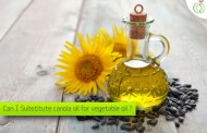 Can I Substitute canola oil for vegetable oil?