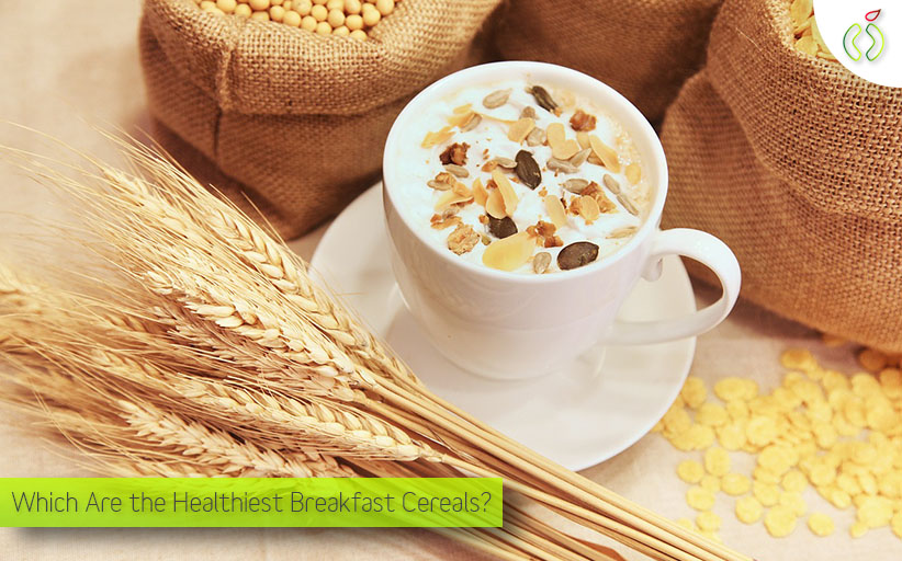 Which Are the Healthiest Breakfast Cereals, You Can Eat Everyday?