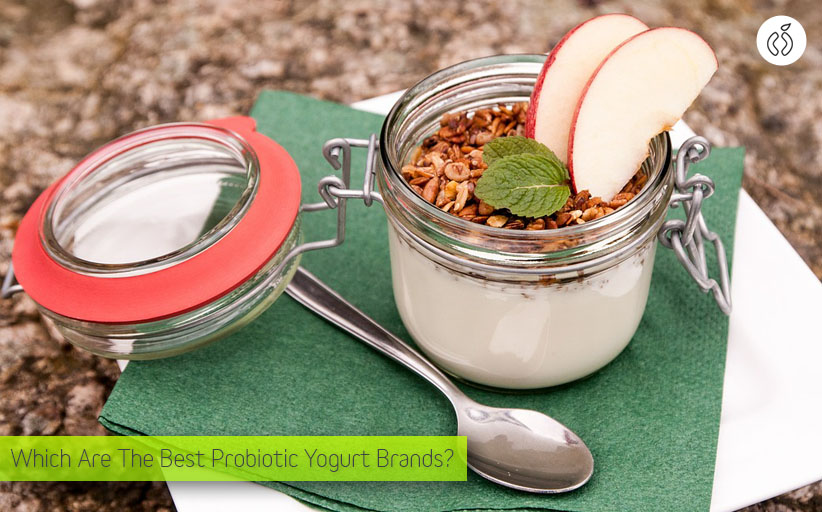 The Best Probiotic Yogurt Brands I Would Feed My Kid