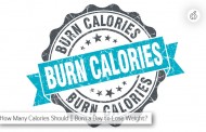 How Many Calories Should I Burn a Day to Lose Weight? (The Shocking Truth)