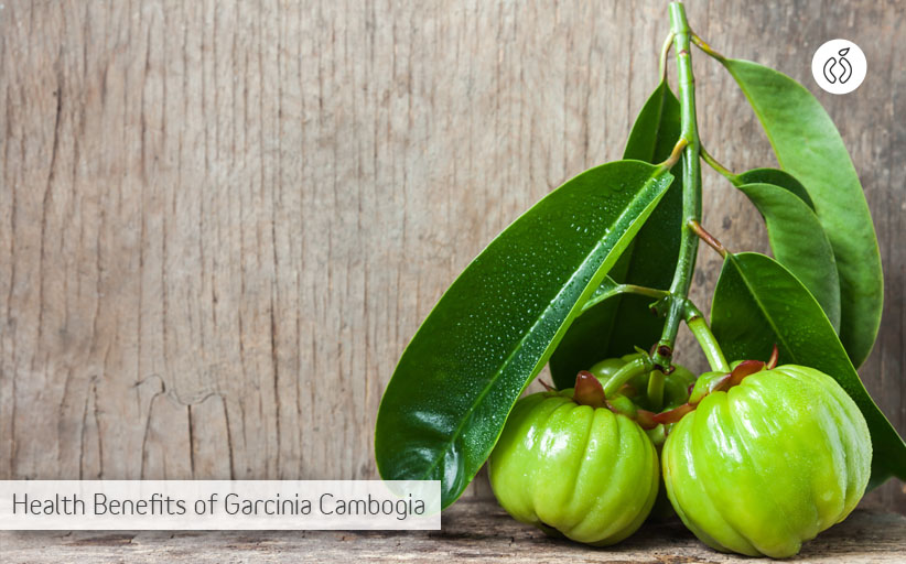 What Are the Health Benefits of Garcinia Cambogia Fruit?