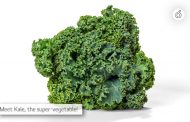 Can Kale Be Eaten Raw? A Scientific Approach