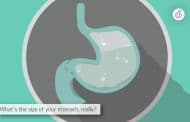 Is Your Stomach the Size of Your Fist? A Scientific Answer