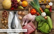 What Is the Paleo Diet, A Thorough Introduction