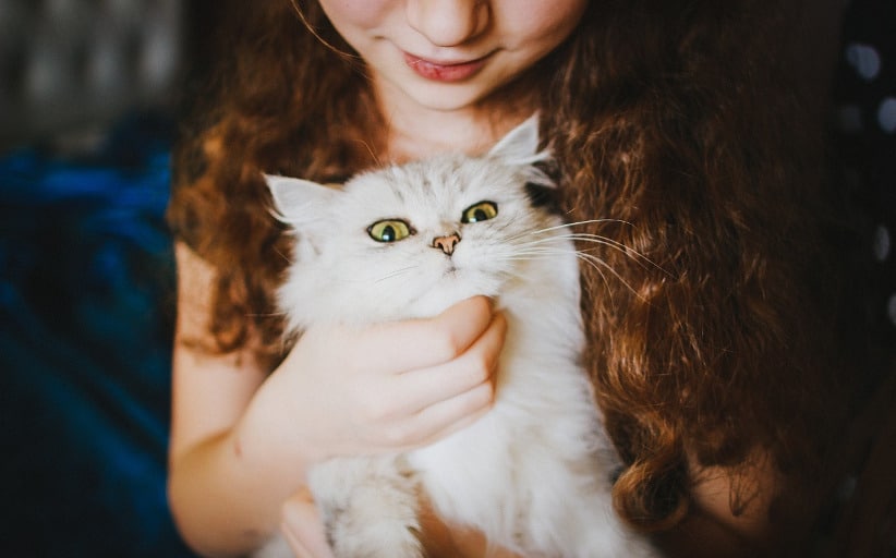 8 Health Benefits of Owning a Cat