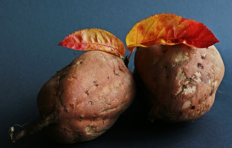 This Is the Real Difference Between Yam and Sweet Potato