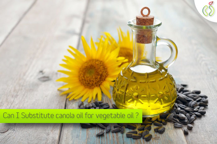 Can I Substitute canola oil for vegetable oil?