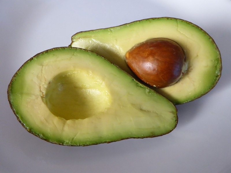 avocado-healthexcellence.jpg