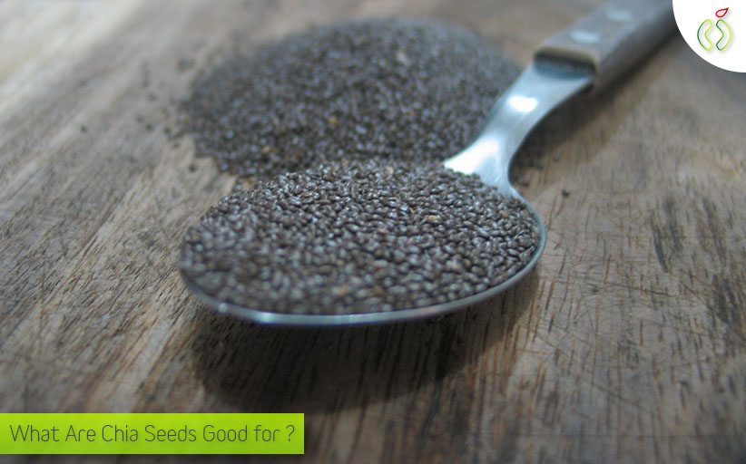 What Are Chia Seeds Good For? 3 Awesome Uses You Will Love