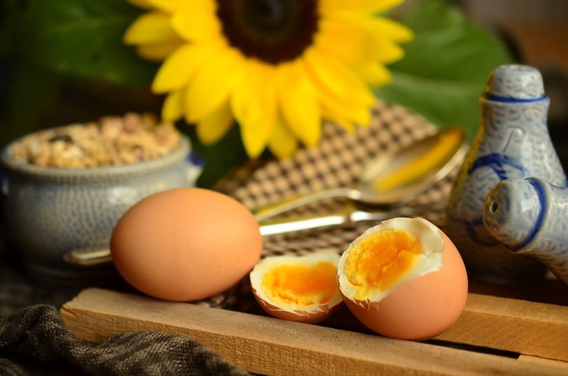 eggs protein sunflower