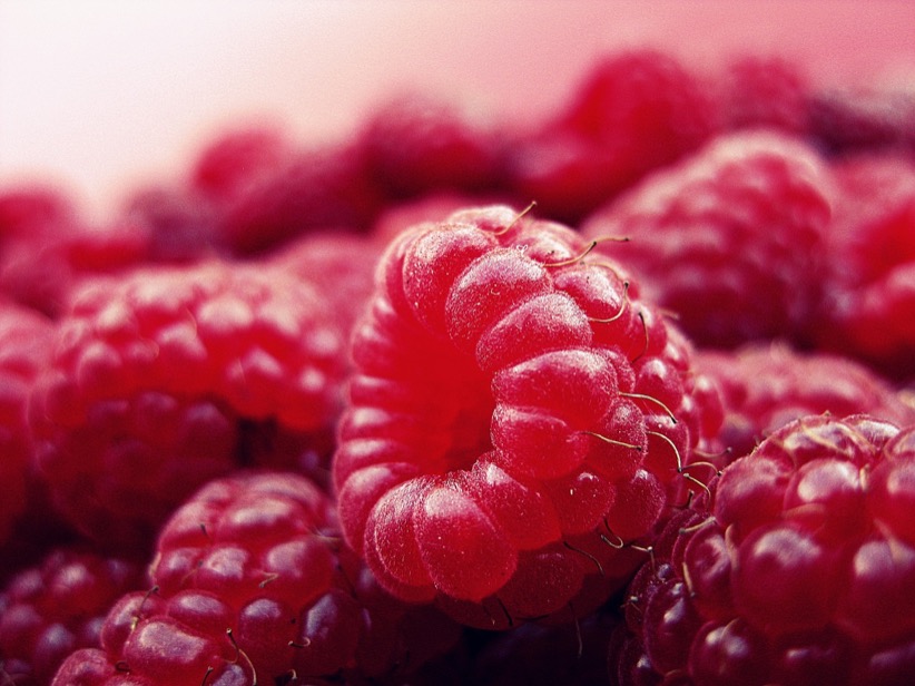 fresh raw raspberry